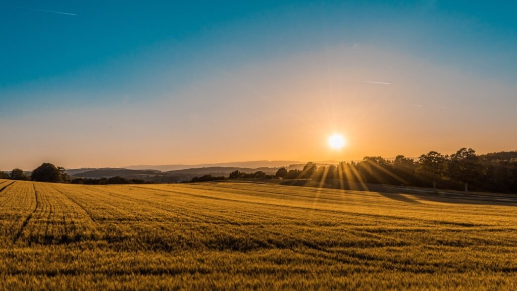 sun rising